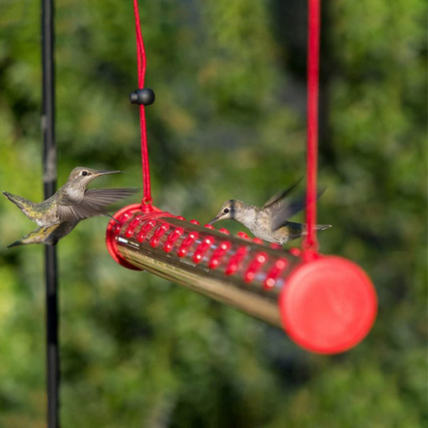 Bob’s Best Hummingbird Feeder