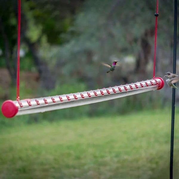 Bob’s Best Hummingbird Feeder