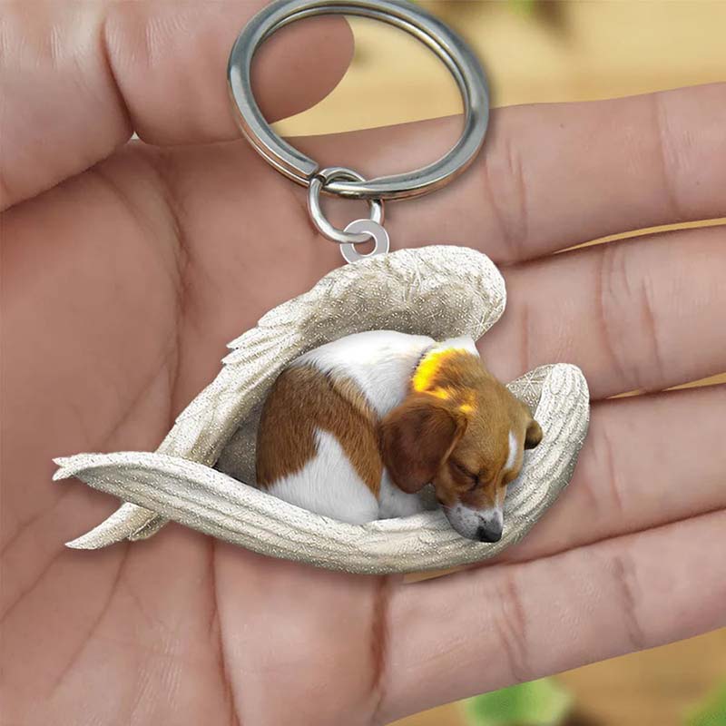 Sleeping Angel Acrylic Keychain Mixed Breed Dog SA141