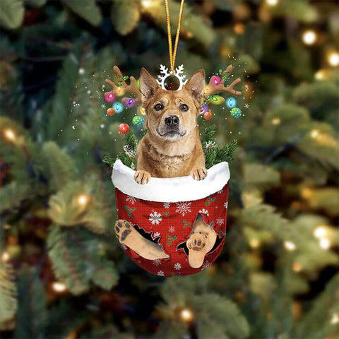 Carolina Dog In Snow Pocket Christmas Ornament SP063