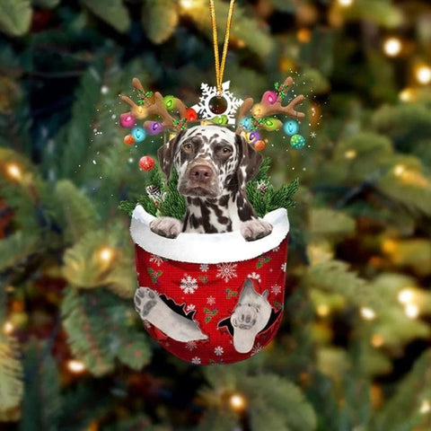 Brown Dalmatian In Snow Pocket Christmas Ornament SP136