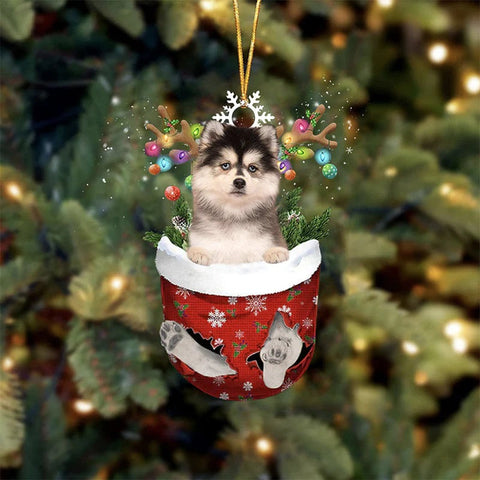 Pomsky In Snow Pocket Christmas Ornament SP211