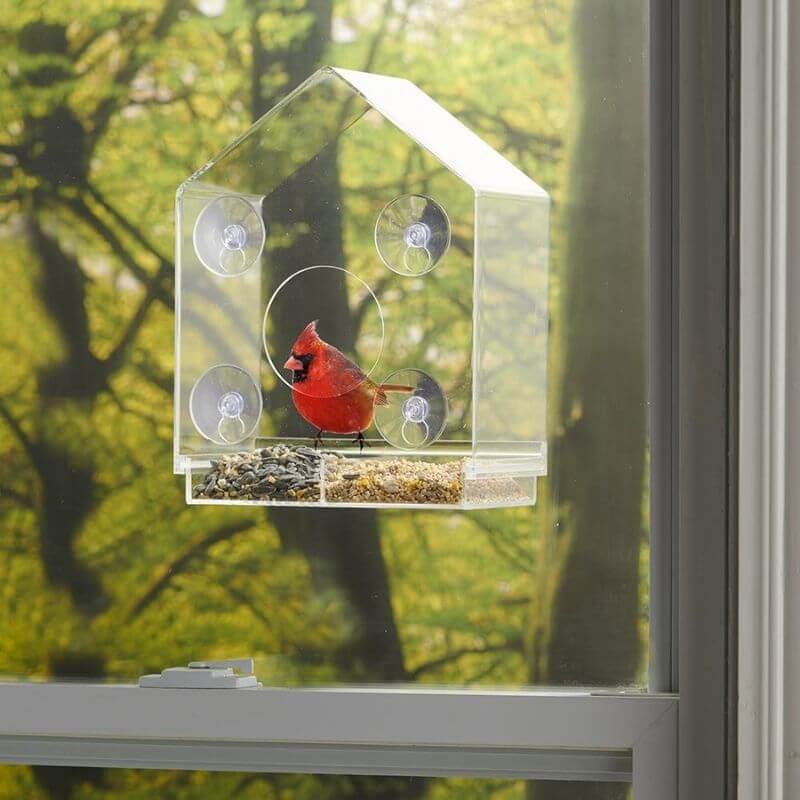 The Up Close Window Bird Feeder